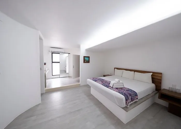 Partyholic 3* Playa del Carmen