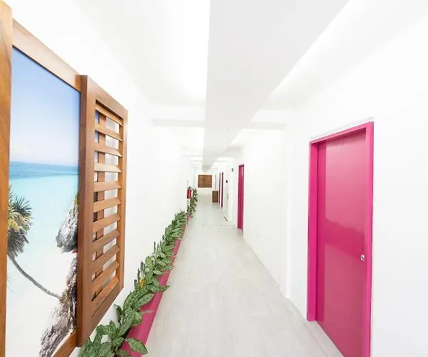 Hotel Partyholic Playa del Carmen